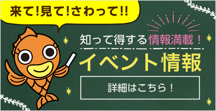 知って得する情報満載！イベント情報