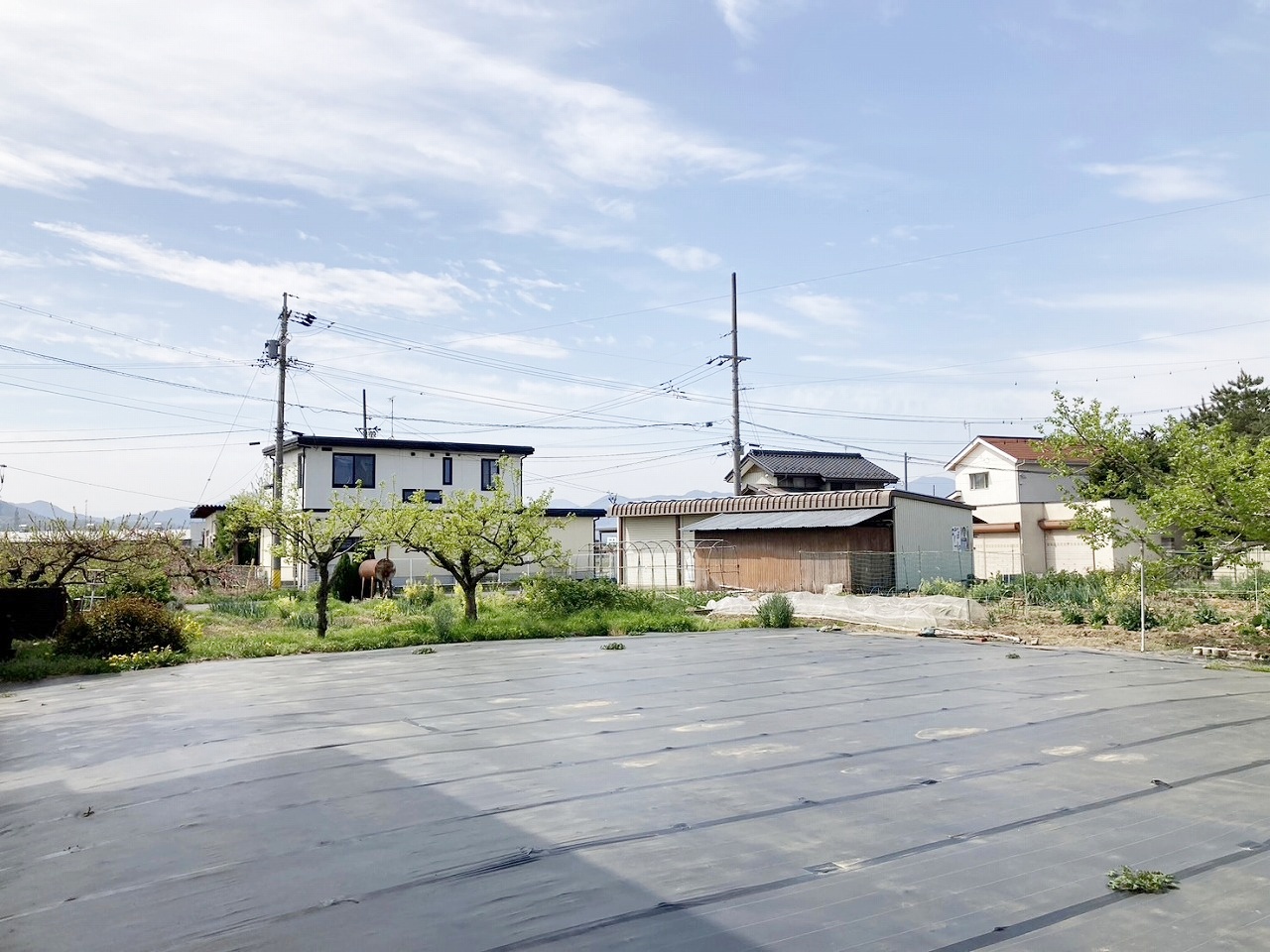 長野市川中島町御厨　土地